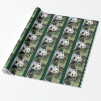 Niedlicher Gigant Panda Green