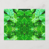 Niedlicher Giraffe Zebra Tiger Safari Freundschaft Postkarte (Rückseite)