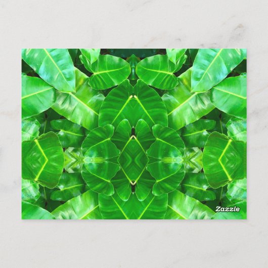 Niedlicher Giraffe Zebra Tiger Safari Freundschaft Postkarte (Rückseite)