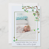 Niedlicher Giraffenjunge, pastellfarbene Fotos Ankündigung (Rückseite)