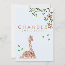 Niedlicher Giraffenjunge, pastellfarbene Fotos