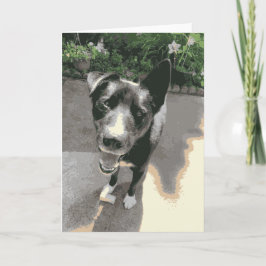 Niedlicher, glücklicher Hund mit Knochenschwarz Karte