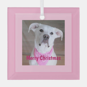 Niedlicher glücklicher Hund mit Seelenaugen Rosa W Ornament Aus Glas
