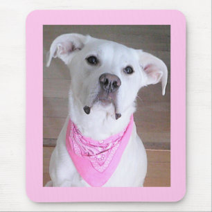Niedlicher glücklicher Hund mit Seelenaugen vierzi Mousepad