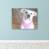 Niedlicher, glücklicher weißer Hund mit leuchtende Leinwanddruck (Insitu (Holzboden))