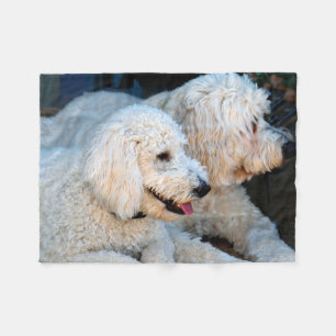 Niedlicher Golden Doodle-Hintergrund Fleecedecke