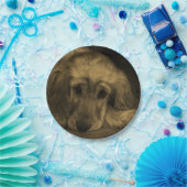 Niedlicher Golden Retriever Dog ablegen Pappteller (Party)