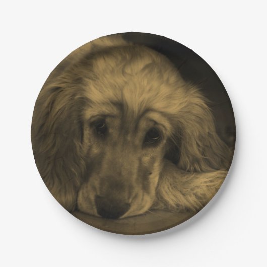 Niedlicher Golden Retriever Dog ablegen Pappteller (Vorderseite)