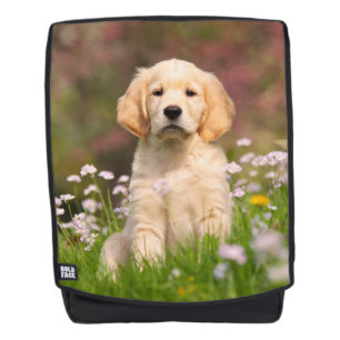 Niedlicher Golden Retriever Doppy Welpe Portrait B Rucksack