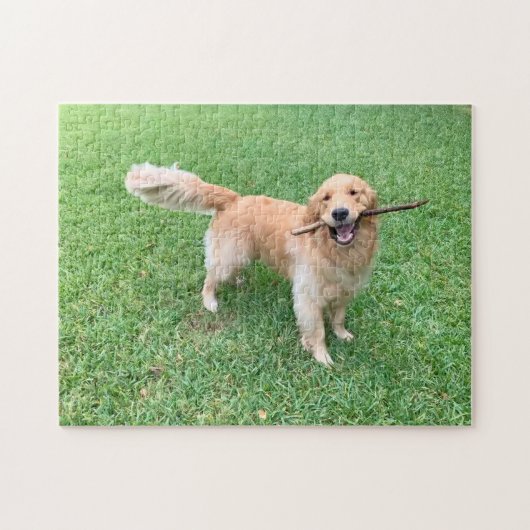 Niedlicher Golden Retriever Hund fotografiert Grün Puzzle (Horizontal)
