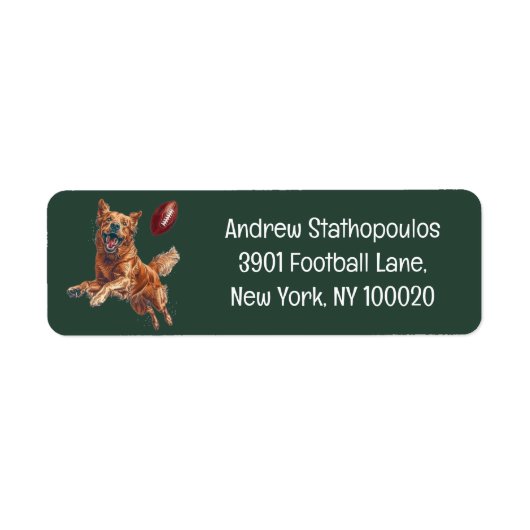 Niedlicher Golden Retriever Hund Fußball spielen (Vorne)