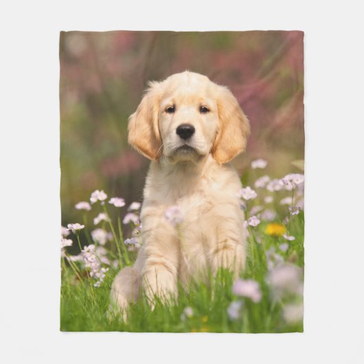 Niedlicher Golden Retriever Hund Hund Welpe in Blu Fleecedecke (Vorderseite)