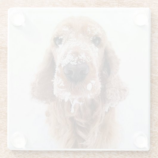 Niedlicher Golden Retriever Hund mit schneebedeckt Glasuntersetzer (Rückseite)