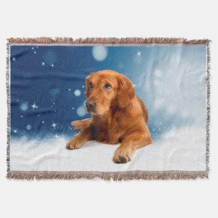 Niedlicher Golden Retriever Hund sitzende Schneest Decke
