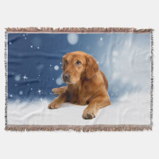Niedlicher Golden Retriever Hund sitzende Schneest Decke (Vorderseite)