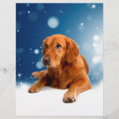 Niedlicher Golden Retriever Hund sitzt in Schneest Briefkopf (Vorderseite)