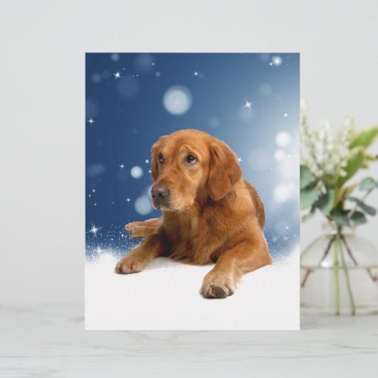 Niedlicher Golden Retriever Hund sitzt in Schneest Briefkopf (Stehend Vorderseite)