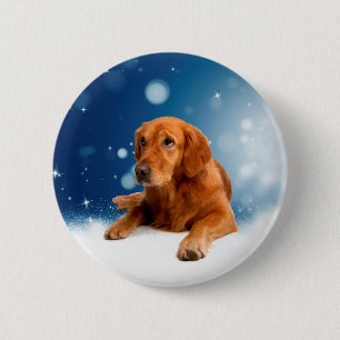 Niedlicher Golden Retriever Hund sitzt in Schneest Button