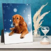Niedlicher Golden Retriever Hund sitzt in Schneest Fotoplatte (Seite)