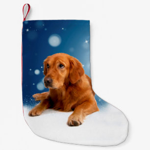 Niedlicher Golden Retriever Hund sitzt in Schneest Kleiner Weihnachtsstrumpf