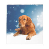 Niedlicher Golden Retriever Hund sitzt in Schneest Notizblock (Vorderseite)