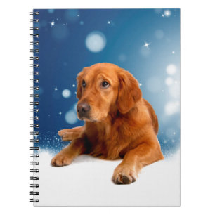 Niedlicher Golden Retriever Hund sitzt in Schneest Notizblock