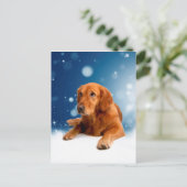 Niedlicher Golden Retriever Hund sitzt in Schneest Postkarte (Stehend Vorderseite)