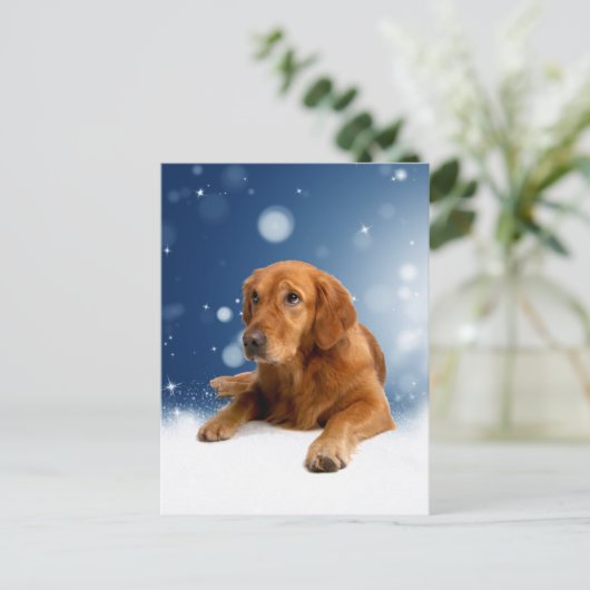 Niedlicher Golden Retriever Hund sitzt in Schneest Postkarte (Stehend Vorderseite)