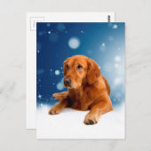 Niedlicher Golden Retriever Hund sitzt in Schneest Postkarte (Vorne/Hinten)