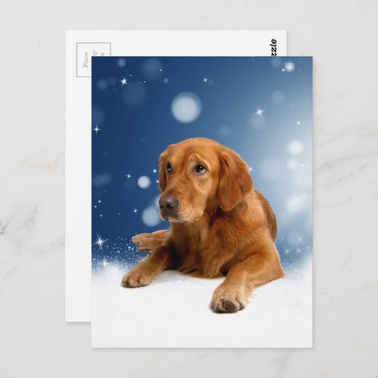 Niedlicher Golden Retriever Hund sitzt in Schneest Postkarte (Vorne/Hinten)