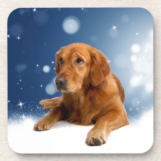 Niedlicher Golden Retriever Hund sitzt in Schneest Untersetzer (Vorderseite)