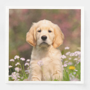 Niedlicher Golden Retriever Hund Welpe Face Animal Serviette