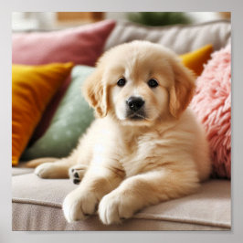 Niedlicher Golden Retriever Welpe Poster