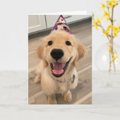 Niedlicher Golden Retriever Welpen Hund mit Geburt Karte (Gelbe Blume)