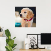 Niedlicher Golden Retriever Welpenhund Poster (Heimbüro)