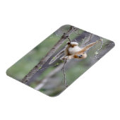 Niedlicher Golden Snub-nosed Affe auf Baumzweigen Magnet (Linke Seite)