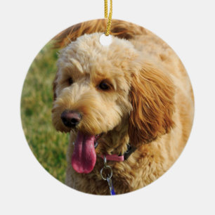Niedlicher Goldendoodle Hund Keramik Ornament