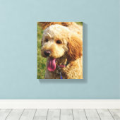 Niedlicher Goldendoodle Hund Leinwanddruck (Insitu (Holzboden))