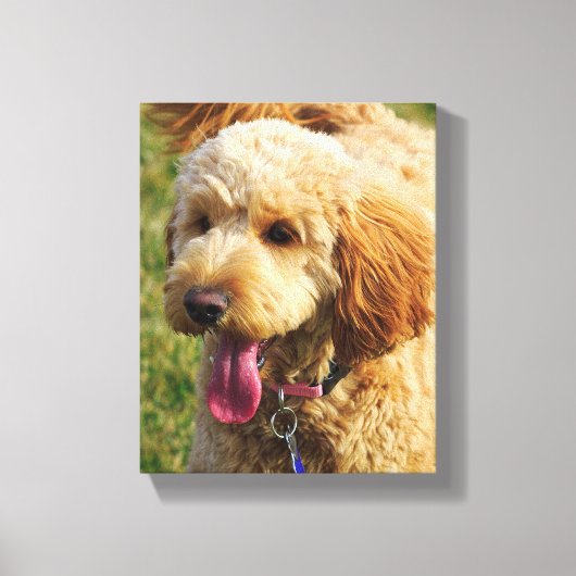 Niedlicher Goldendoodle Hund Leinwanddruck (Vorderseite)