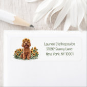 Niedlicher Goldendoodle-Hund mit einer Sonnenblume (Insitu)