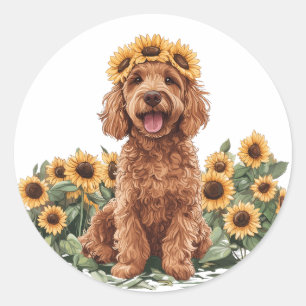 Niedlicher Goldendoodle-Hund mit einer Sonnenblume Runder Aufkleber
