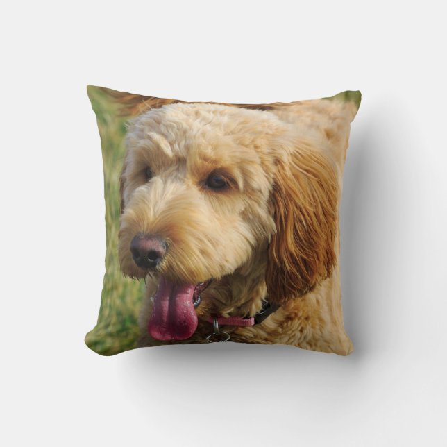 Niedlicher Goldendoodle Kissen (Vorderseite)