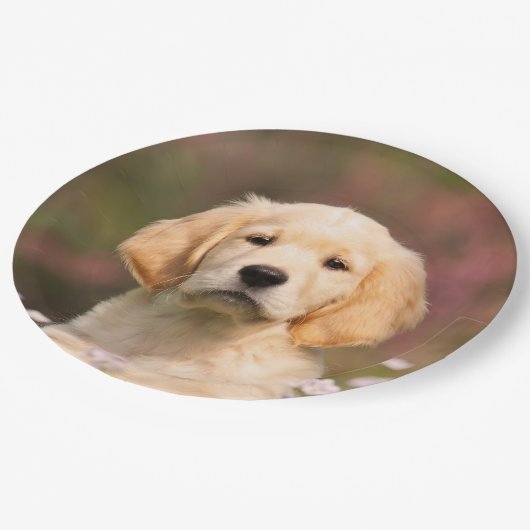 Niedlicher goldener Retriever-Hundewelpe, Pappteller (Schrägansicht)
