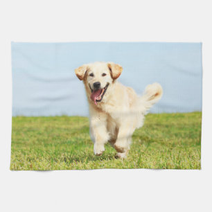 Niedlicher goldener Retriever-Welpe, der auf Gras Handtuch