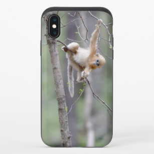 Niedlicher Goldnasen-Affe auf Baumzweigen iPhone X Slider Hülle