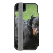 Niedlicher Gordon-Setzer Incipio iPhone Geldbeutel-Hülle (Folio Rückseite)