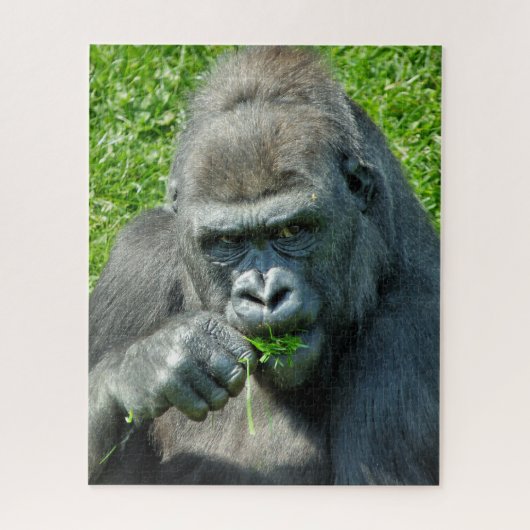 NIEDLICHER GORILLA PUZZLE (Vertikal)