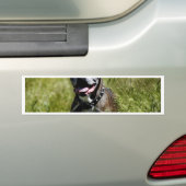 Niedlicher Grashund Autoaufkleber (Auf Auto)