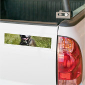 Niedlicher Grashund Autoaufkleber (Auf Lkw)