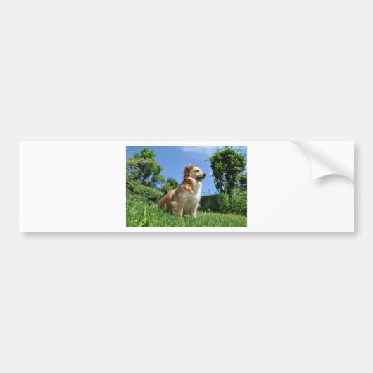 Niedlicher Grashund Autoaufkleber (Vorne)